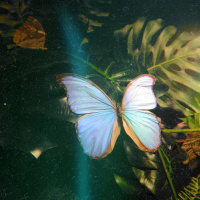 S8|EP32 - Cosmos Reading Corner - Day 26 - Mistakes