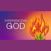 Gods Will and Your Life - Audio