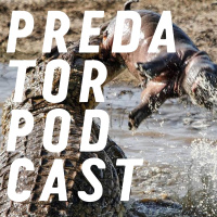 Episode 1: Alligators, Crocodiles and Komodo Dragons