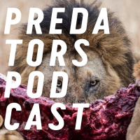 Episode 0: Introduction