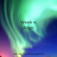 Align Meditation