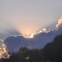 Life Path Alignment + Less is the New More