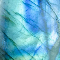 Loving Kindness Meditation