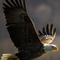 Affirmative Prayer~ a spiritual mind treatment