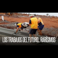 Carreras del futuro: Los nuevos empleos en la era de la IA /Roja, En Vivo