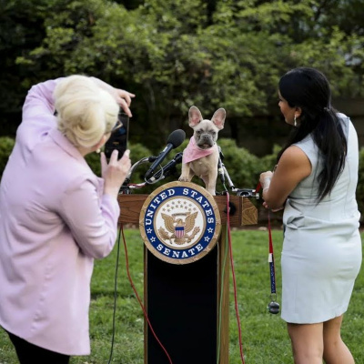 Roja, Con Ophelia Pastrana