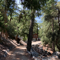 Entangling Vines, Case 15: One Peak is not White, August 1, 2019 (Kyo-On Dokuro, Osho)