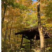 Dharma Talk, October 2, 2019 (Kyō-On Dokurō, Oshō)