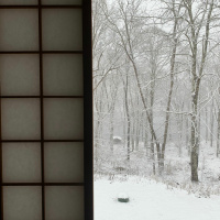 Dharma Talk, January 22, 2020 (Kyō-On Dokurō, Oshō)