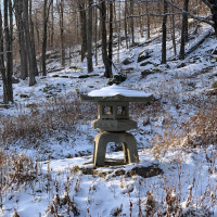 Dharma Talk, February 12, 2020 (Kyō-On Dokurō, Oshō)