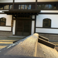 Dharma Talk, November 20, 2019 (Kyō-On Dokurō, Oshō)