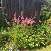 Dharma Talk, Kyo-on Dokuro Osho, August 17, 2016