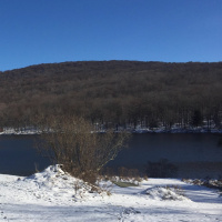 Dharma Talk, Kyo-On Dokuro Osho, January 18, 2017