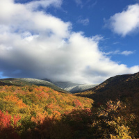 Dharma Talk, Kyo-on Dokuro Osho, November 2, 2016