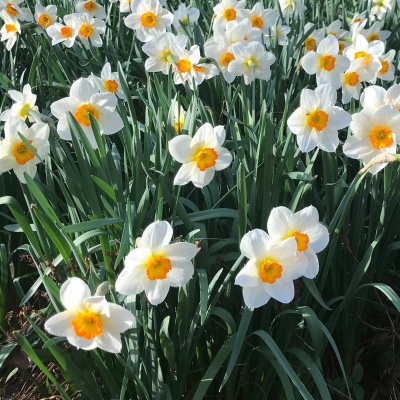 Zen Talks: Kyo-on Dokuro