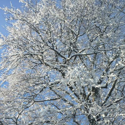 Zen Talks: Kyo-on Dokuro