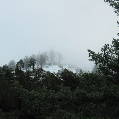 Zen Talks: Kyo-on Dokuro