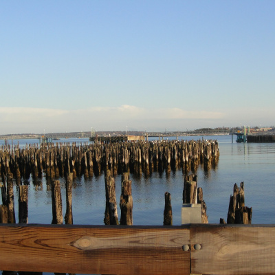 Zen Talks: Kyo-on Dokuro