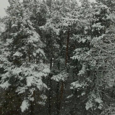 Zen Talks: Kyo-on Dokuro