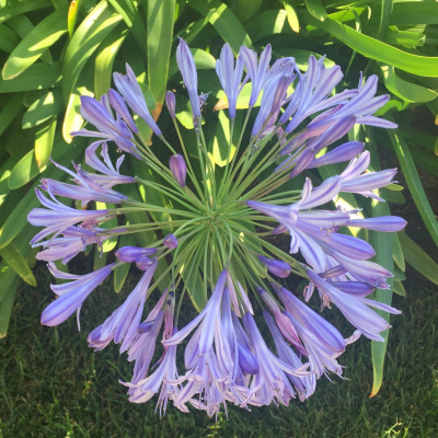 Zen Talks: Kyo-on Dokuro