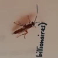 722 ALL OVER BUT THE SHOUTING