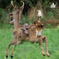 I WILL NOT BE INTIMIDATED