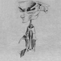 844 THE CELEBRATED TECHNICIAN