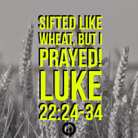 SIFTED LIKE WHEAT, But I Prayed! Luke 22:24-34-K.A. Perkins