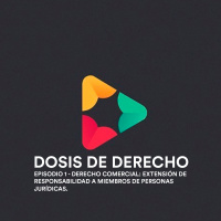 #1 - Comercial - Extensión de responsabilidad a miembros de personas jurídicas