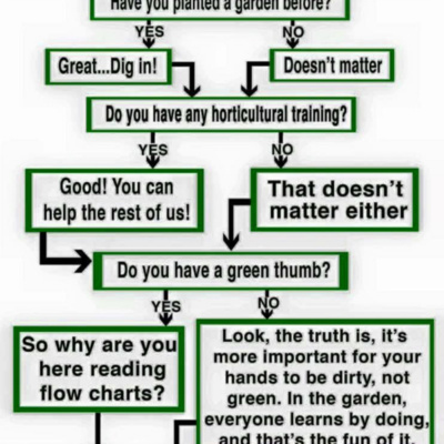 Houston Life Platform