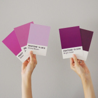 La prensa y el 8 de marzo - Vanesa Carrasquilla #23