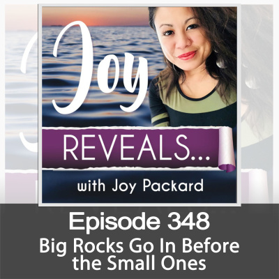 Joy Reveals Podcast