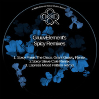 GruuvElements - Spicy (Steve ColeRemix) MASTER