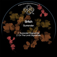 On The Limit (Original Mix) - Br!tch