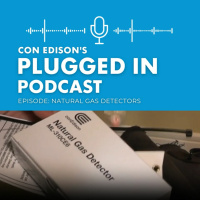 Plugged In Gas Detectors