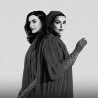 289. Esquema de Fonzi 