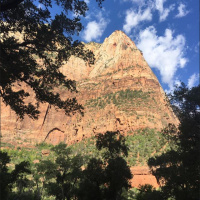 Las Vegas in the summer?