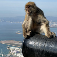 Spain Day 12amp13 - Gibraltar and Torremolinos