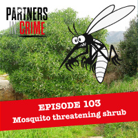 Mosquito threatening shrub