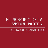 El Principio de la Visión Parte 2