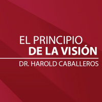El Principio de la Visión