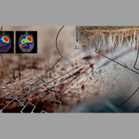 S1 Ep5: Technologically Fabricated Intimacy 