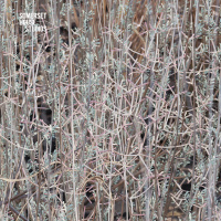 S12 Ep7: Timur Si-Qin | Hyper Functional, Ultra Healthy