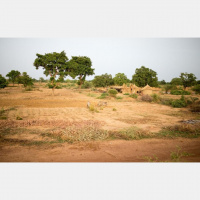 S1 Ep1: Mossi Forecasts: Reading Weather in Burkina Faso 