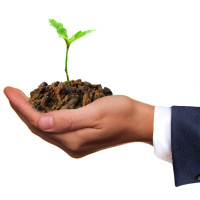 Episode 19 - I Have A Seed