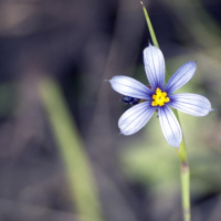 Episode 17 - Bitterness (Its not pretty).