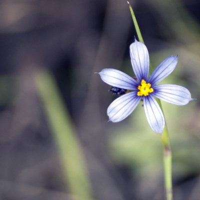 This Is Paul Anderson