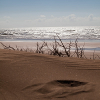 Mussine or A Nomadic Perspective