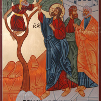 Seeing with Zacchaeus