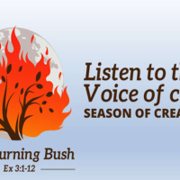 Living Simply for Creation